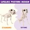 Posable Halloween Dog Skeleton Full Body Posable Joints Skeleton Puppy for Halloween Decoration, Graveyard Party Deco (9.8” X 4.7” X 12.6”)